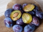 Preview: Frucht innen