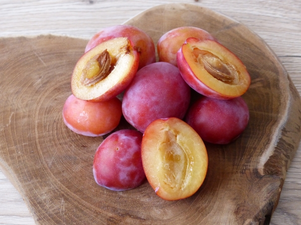 Pflaume Königin 'Viktoria Früchte'