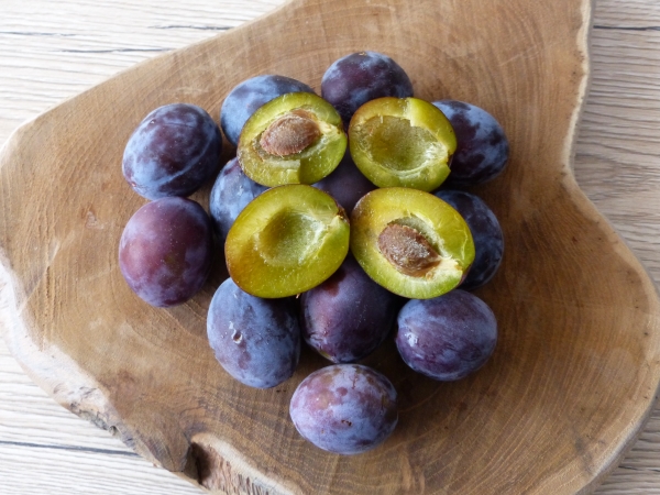 Früchte 'Wangenheims Frühzwetschge'