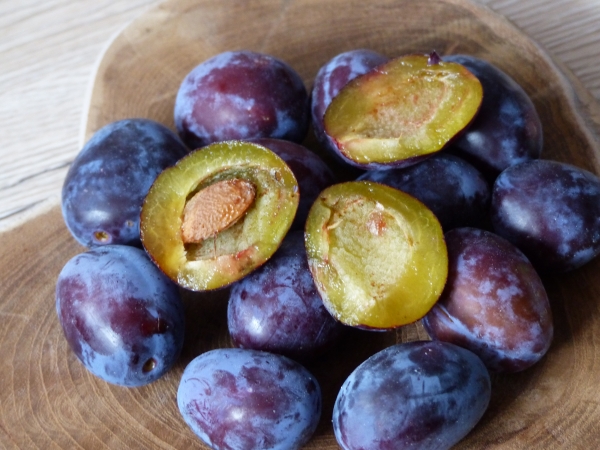 Frucht innen